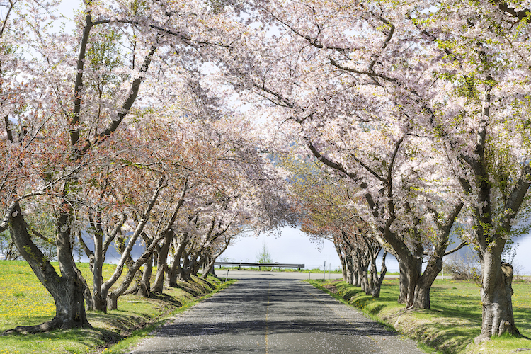 えぼし岩公園